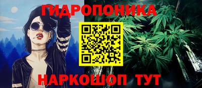 spice Надым