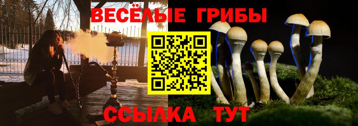 Галлюциногенные грибы мухоморы  Галлюциногенные грибы прущие грибы  Бахчисарай  Вход с VPN 